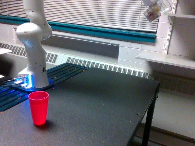 doc_id 55